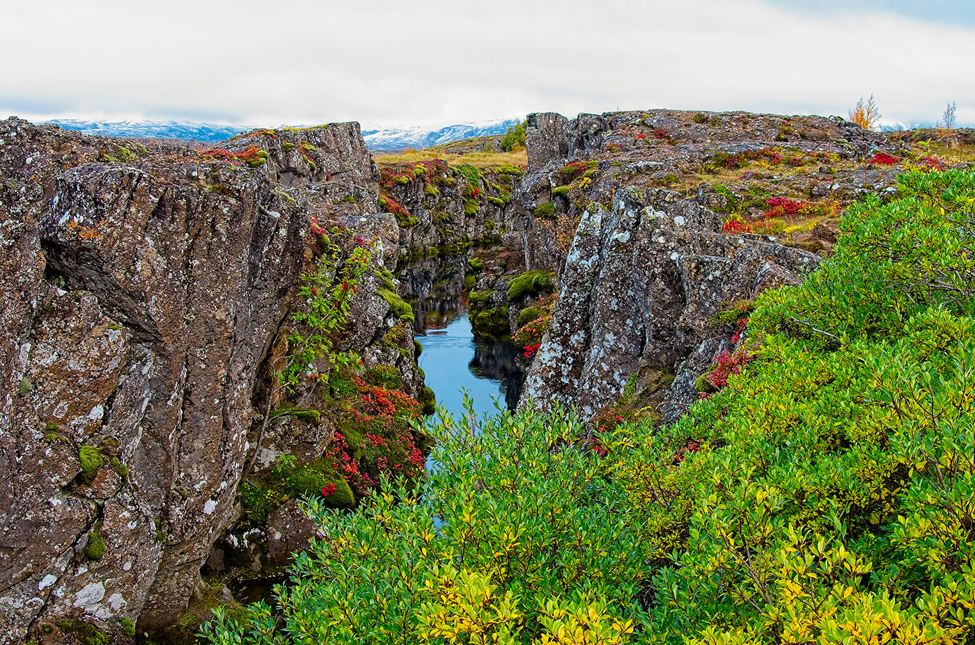 Þingvellir 8