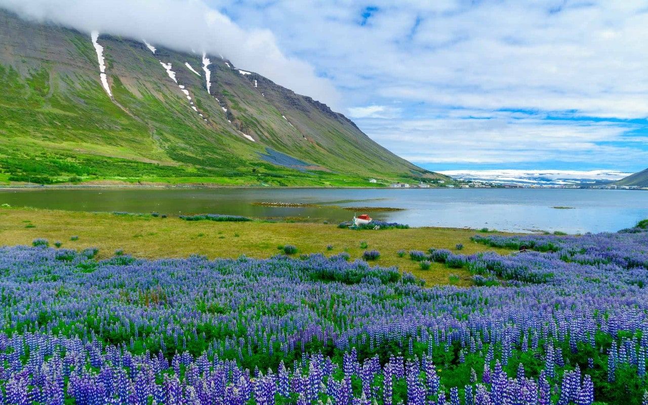 Ísafjörður