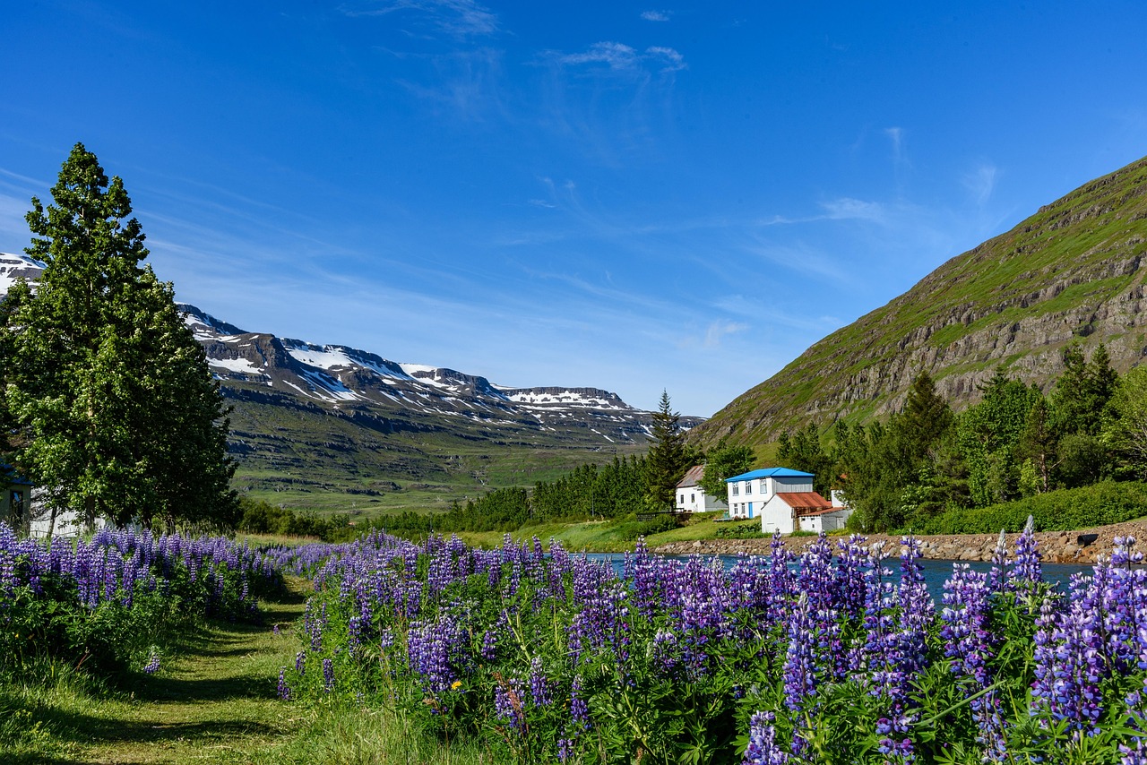 Seyðisfjörður