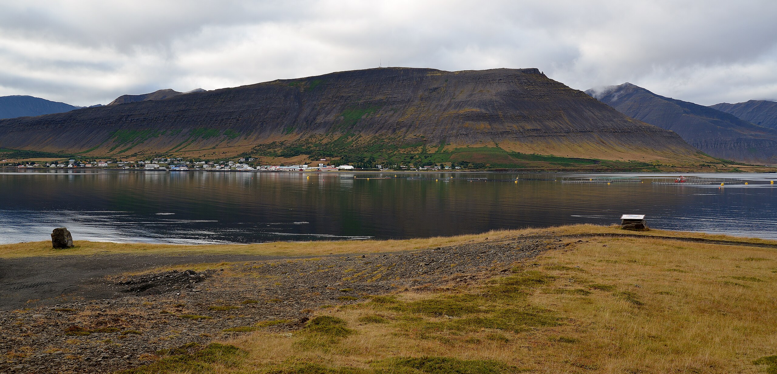 Þingeyri