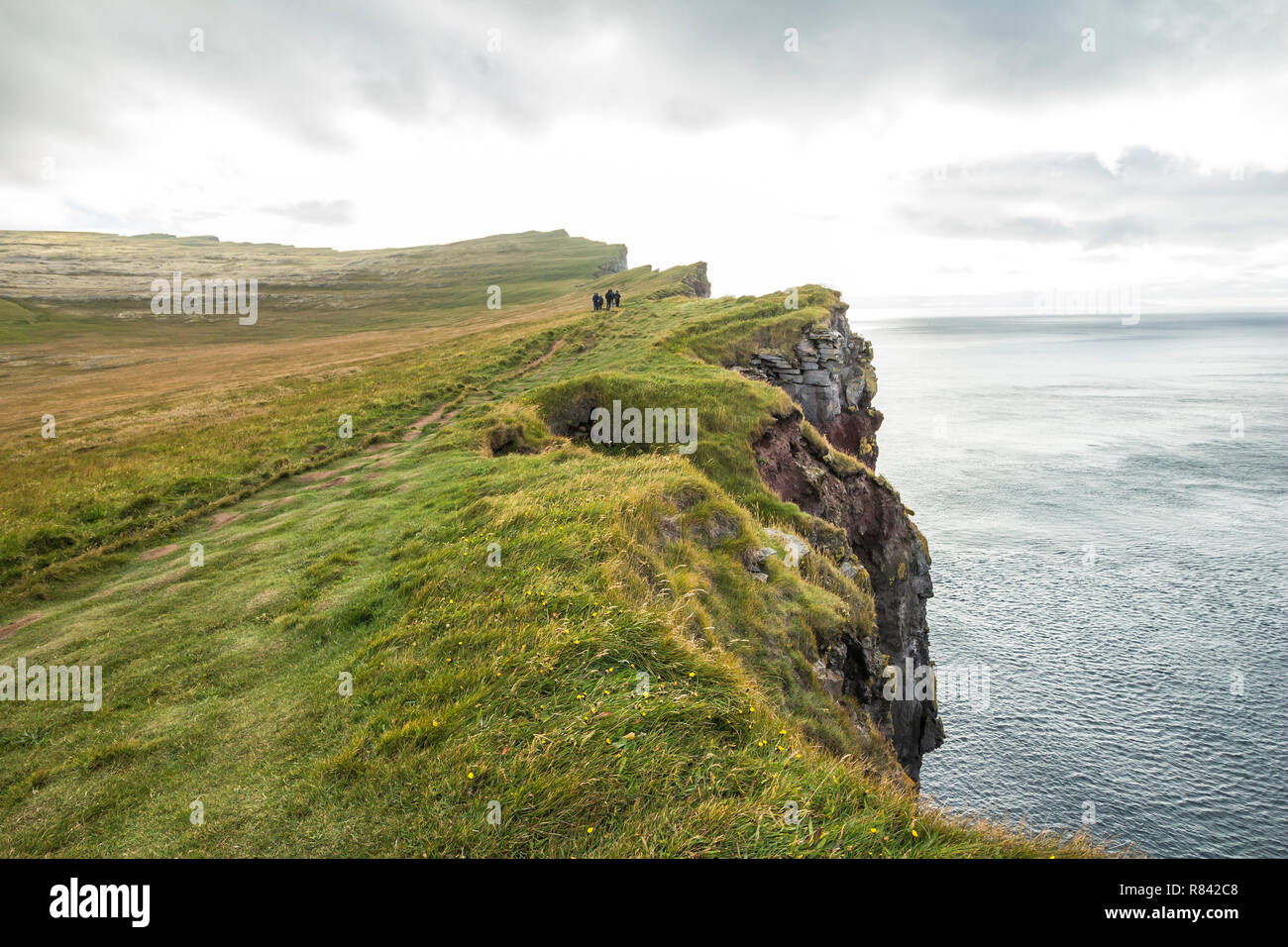 Photo of spot Látrabjarg