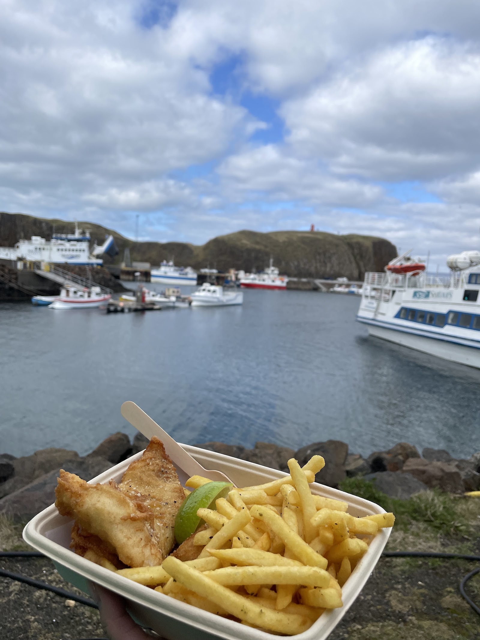 Hafnarvagninn