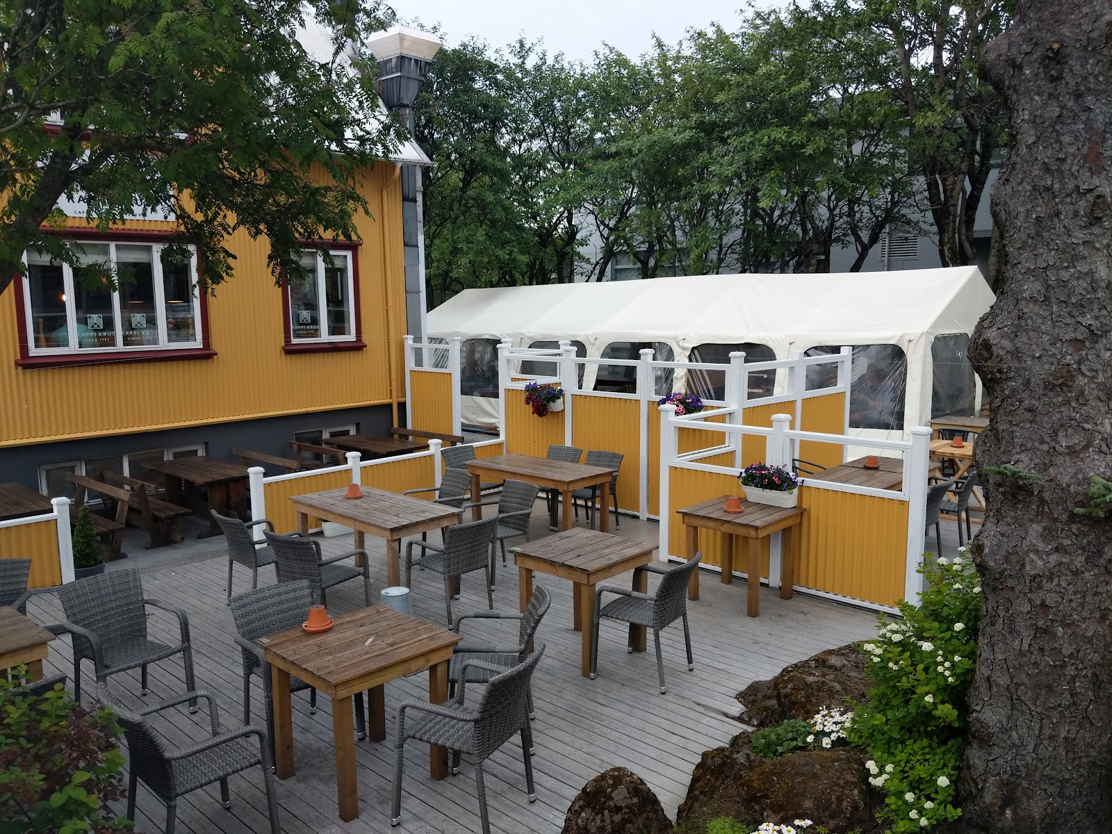 Kaffi Krús